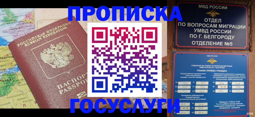 прописка регистрация в Лыткарино